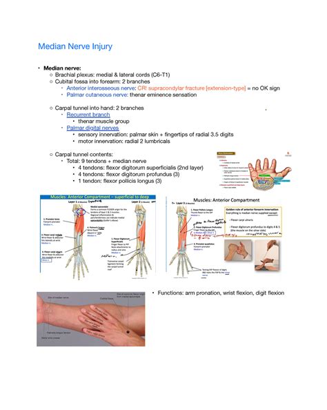 median nerve compression test at elbow|median nerve injury sign.